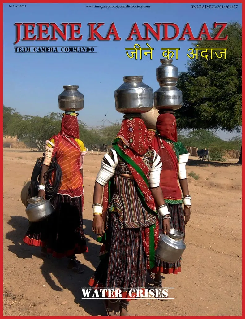 Cover of Water Crises