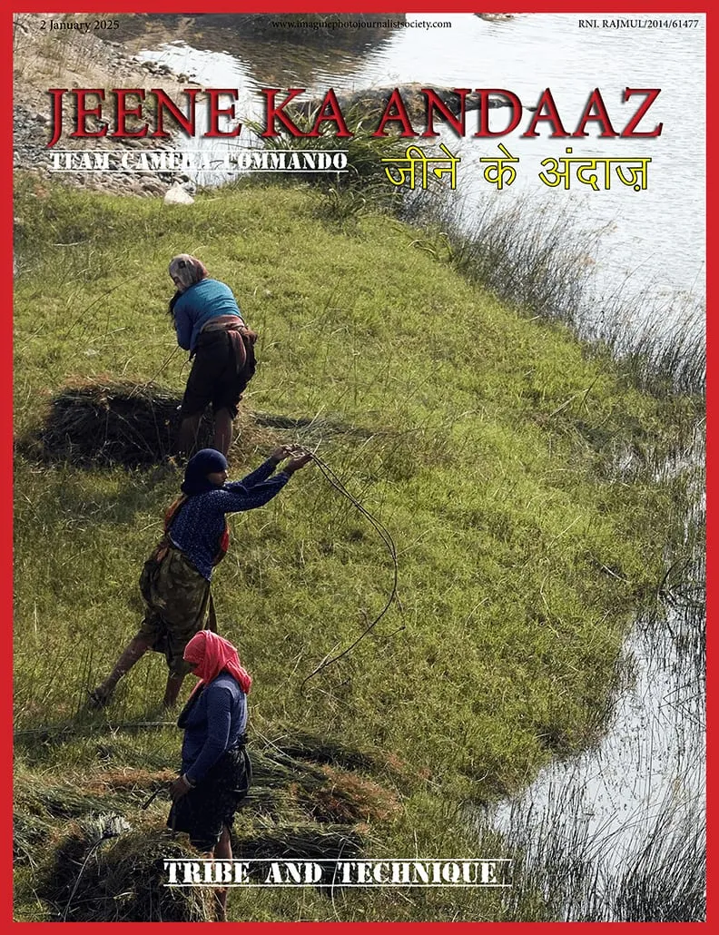 Cover of Tribe and Technique