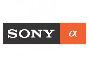 Sponsor logo
